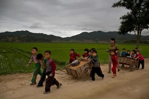 Kuzey Hamgyong Eyaleti