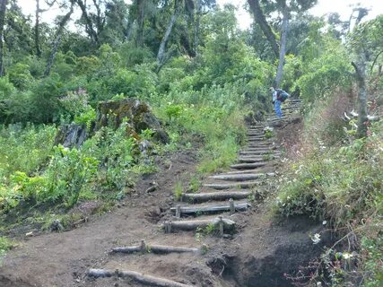 Chimaltenango Departmanı