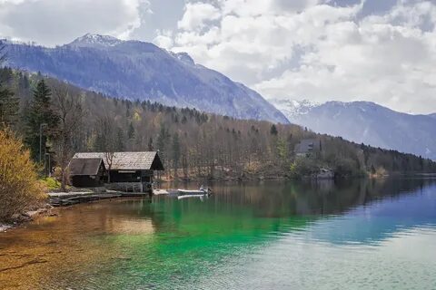 Bohinj Belediyesi