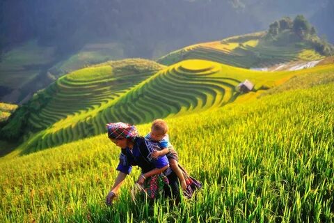 Điện Biên