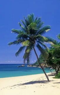 Aguadilla