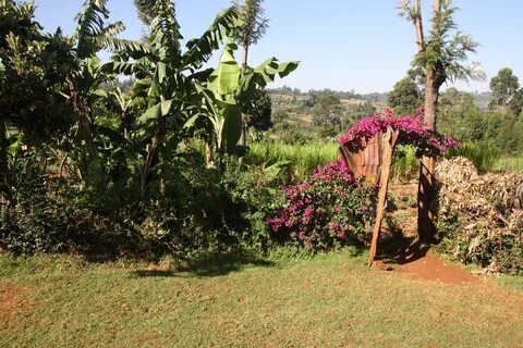 Kisii