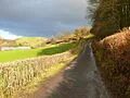 Carmarthenshire