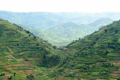 Kabale Mahallesi