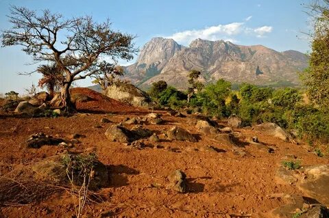 Chiradzulu Bölgesi