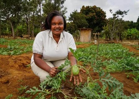 Tharaka-Nithi