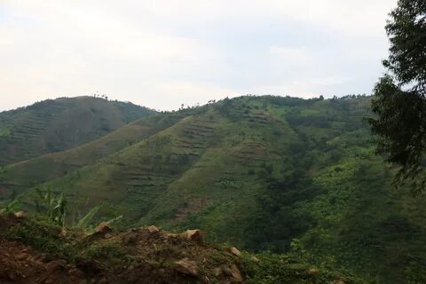 Kanungu Mahallesi