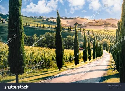 Macerata