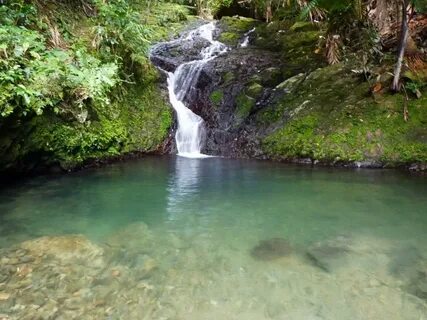 Orocovis