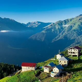 Rize
