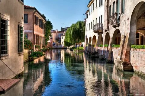 Treviso