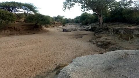 Kitui