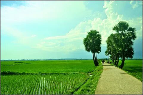 Kushtia Bölgesi