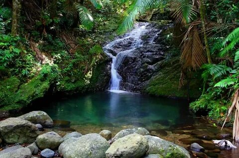 Orocovis