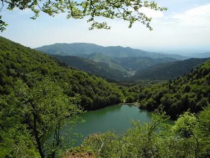 Vosges