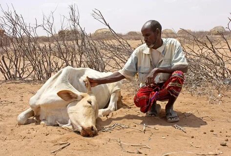 Wajir