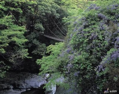 Tokushima Eyaleti