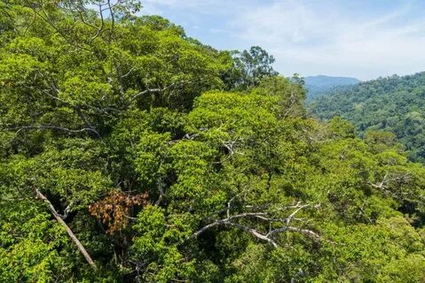 Temburong Bölgesi