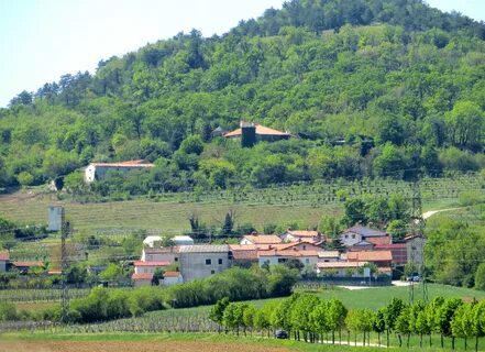 Vipava Belediyesi