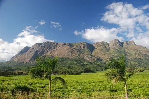 Phalombe Bölgesi