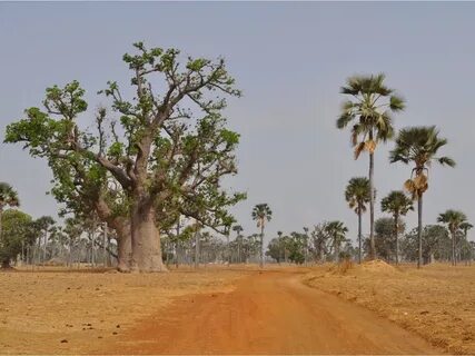 Kédougou