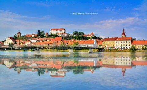 Ptuj Şehir Belediyesi