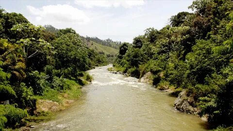 La Vega Eyaleti