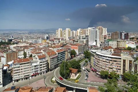 Bursa