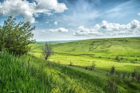 Stavropol Krayı