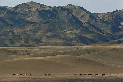 Govi-Altay Eyaleti