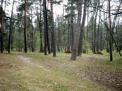 Luhanska bölgesi
