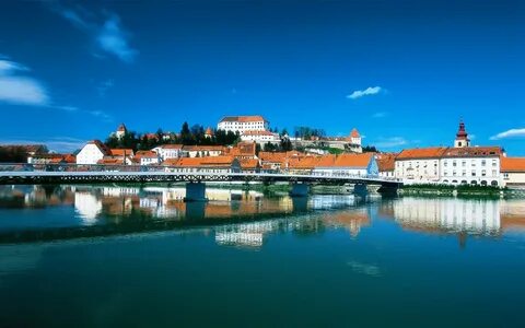 Ptuj Şehir Belediyesi
