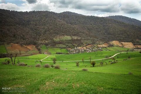 Mazenderan