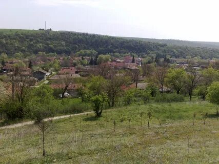 Rusçuk Eyaleti