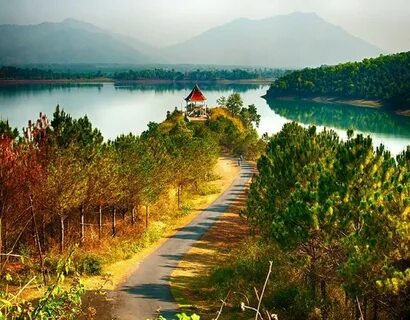 Gia Lai