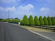 Craigavon İlçe Konseyi
