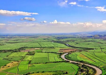 Valle del Cauca