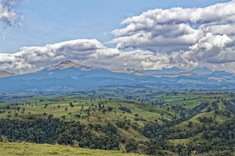 Valle del Cauca