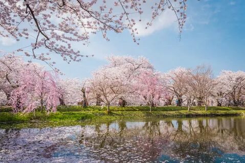 Aomori Eyaleti
