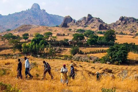 Yayla
