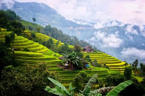 Hậu Giang
