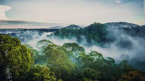Temburong Bölgesi