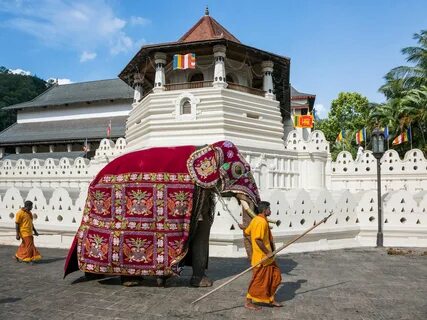 Kandy Bölgesi