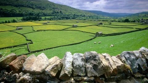 Kuzey Yorkshire