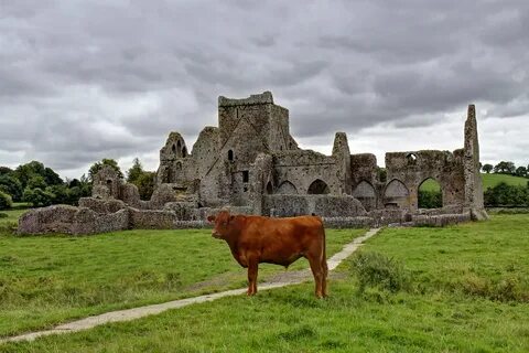 Tipperary