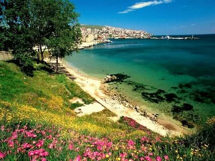 Sinop