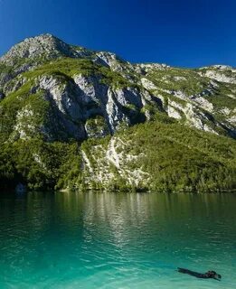 Bohinj Belediyesi