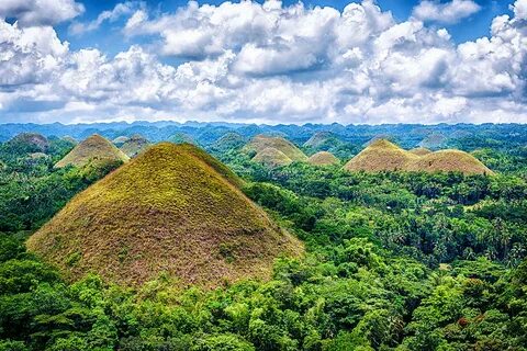 Bohol