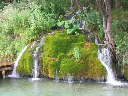 Lika-Senj