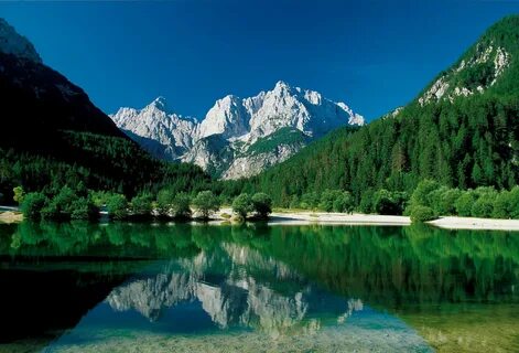 Jesenice Belediyesi